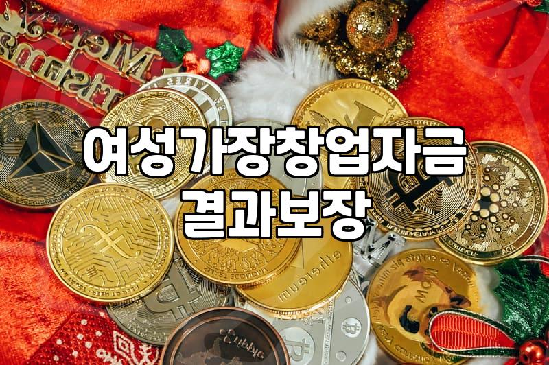 여성가장 창업자금 대출 신청 전 꼭 확인해야 할 현실적인 조건들