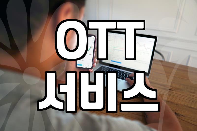영화보는사이트, 어디가 가장 합리적일까
