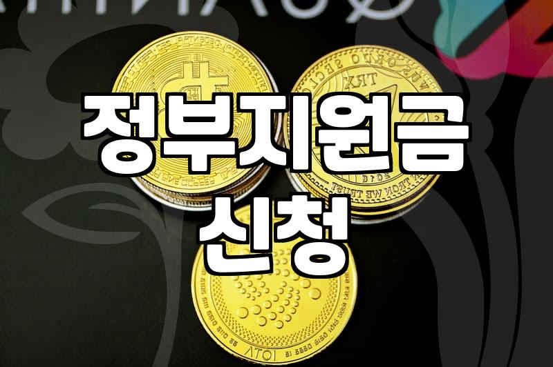 정부지원사업 신청 시 탈락을 방지하는 실질적인 평가 기준