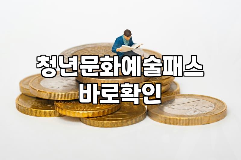 청년문화예술패스 신청하려다 허탕 친 주말