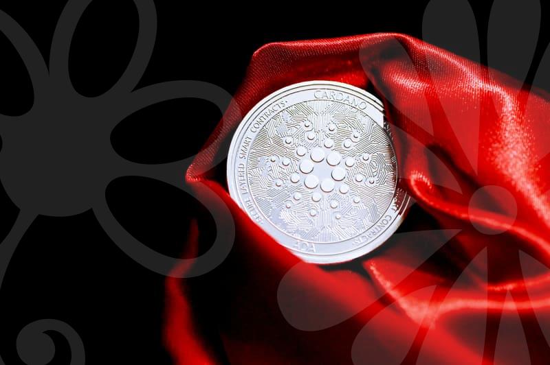 합법적인 영화다운로드 서비스를 현명하게 이용하기 위해 확인해야 할 지점들