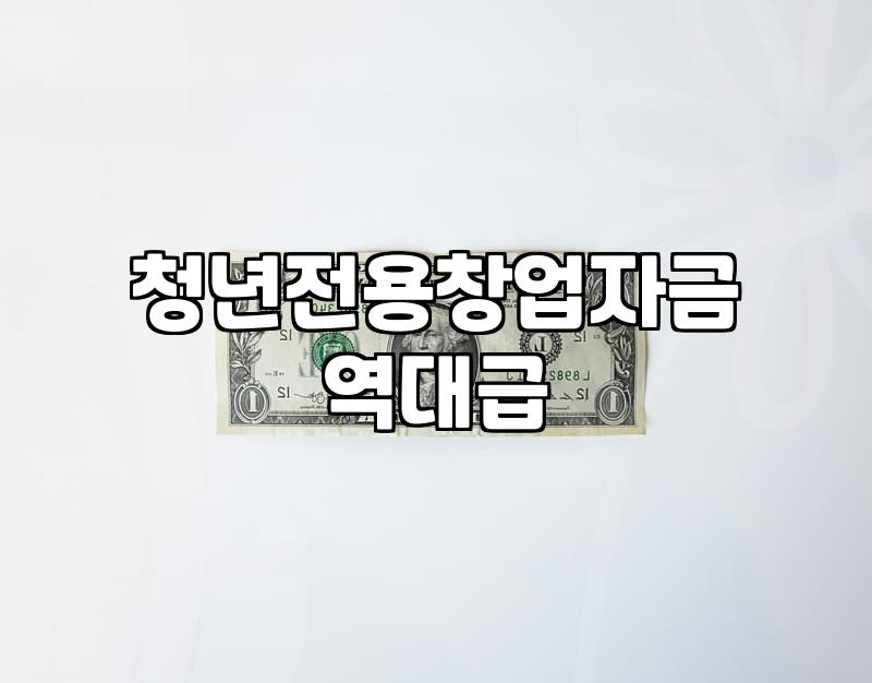 청년창업지원금 신청 대상과 실제 지원받는 금액