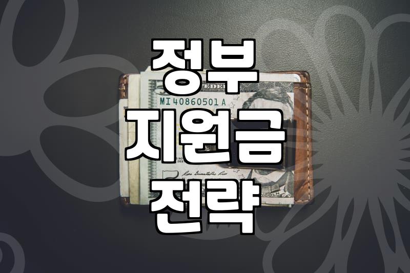 보조금, 쫓아가면 얻는 게 있을까? 실전에서 본 현실