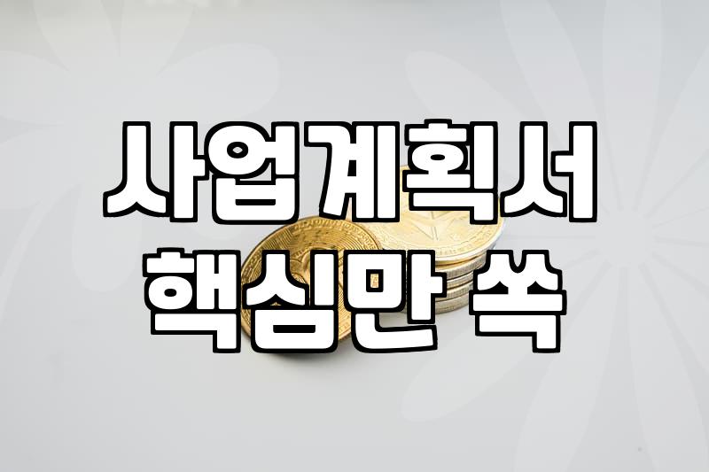 정부지원 사업 신청 전 반드시 확인해야 할 실질적인 체크리스트