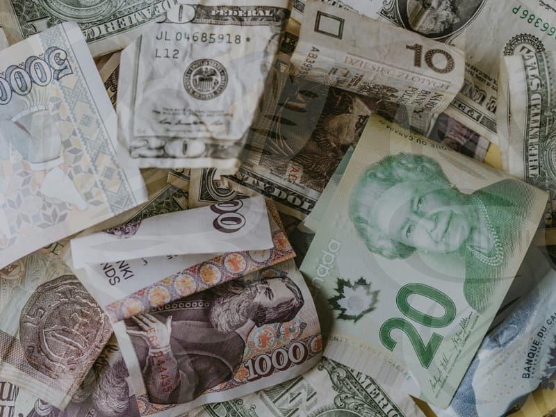 봉준호 신작부터 실사화 소식까지 달라진 애니메이션영화 관전 포인트와 선택법