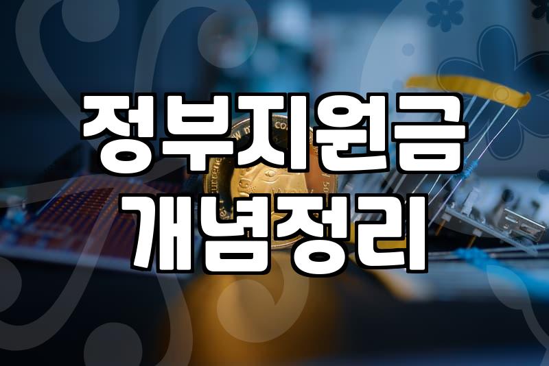청년창업지원금, 정말 밑 빠진 독에 물 붓기일까? 현장에서 본 현실