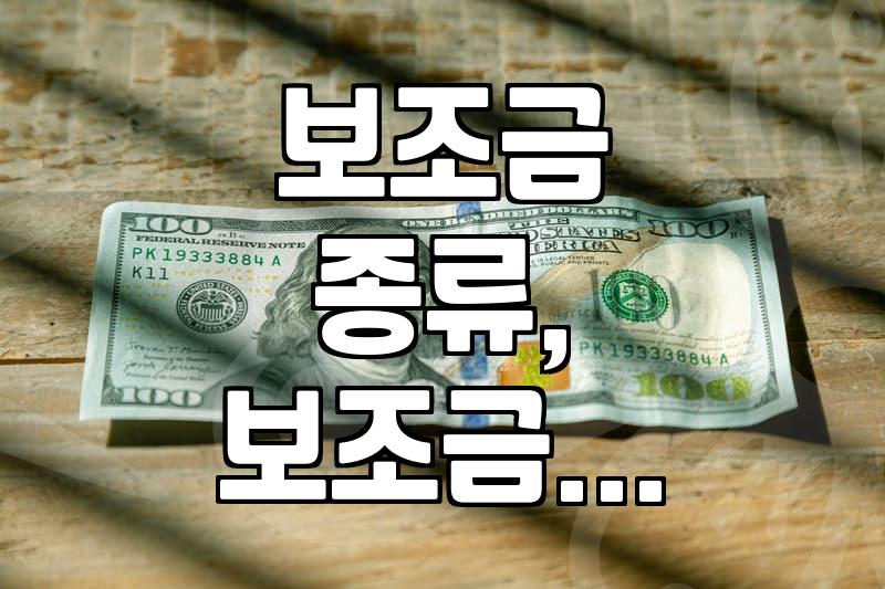 보조금, 어디까지 알고 계신가요? 신청부터 활용까지 현실적인 이야기
