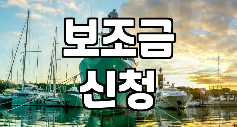 정부 보조금 사업 신청할 때 미리 챙겨야 할 실무적인 포인트들