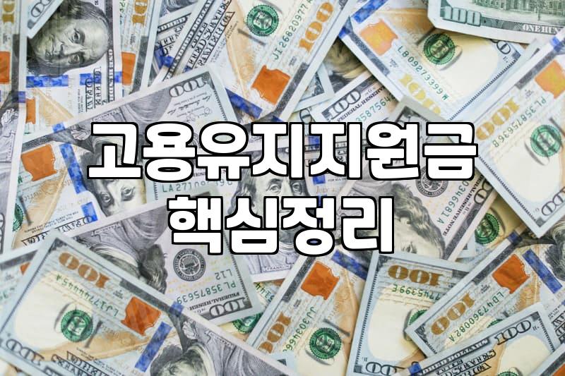 인건비지원사업 종류와 고용 형태별 실제 지원금 차이