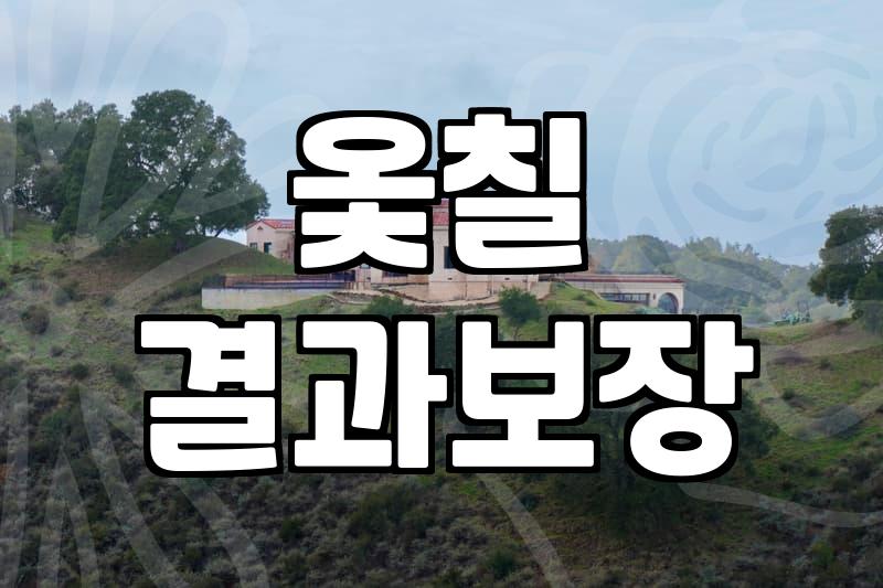 나무티스푼을 매일 쓰면서 알게 된 관리와 선택의 기준