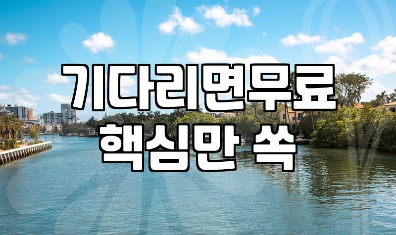 카카오웹툰, 이거 모르면 손해 보는 꿀팁