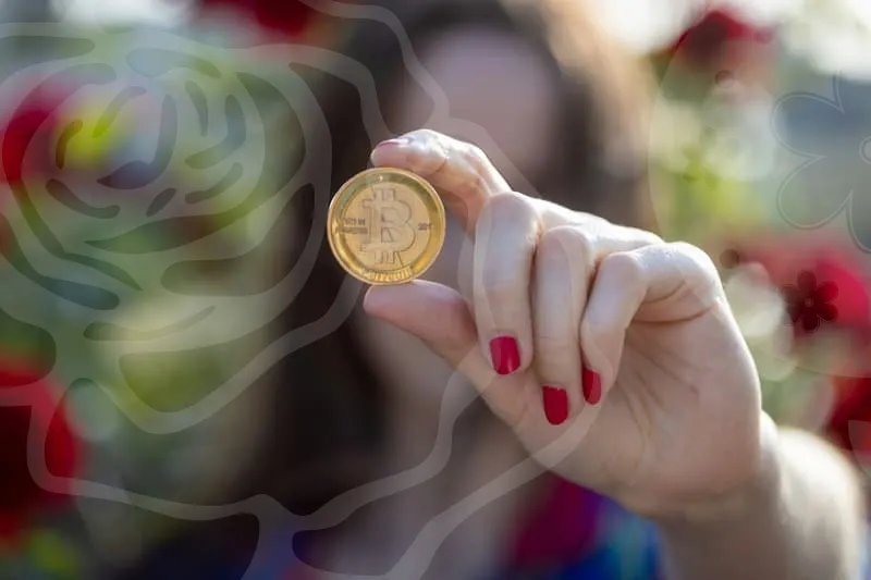 웹툰사이트