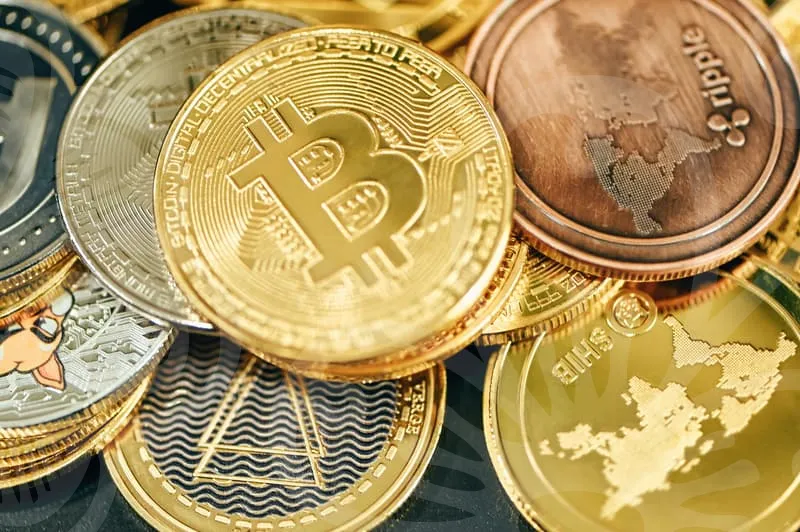 웹소설사이트