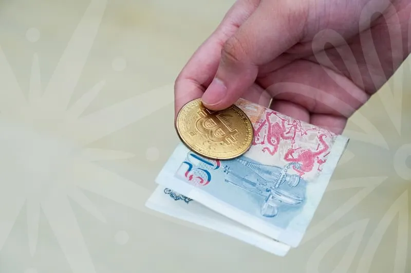 캐릭터