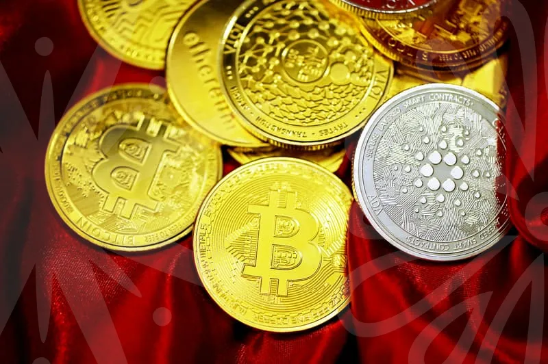 웹툰스튜디오