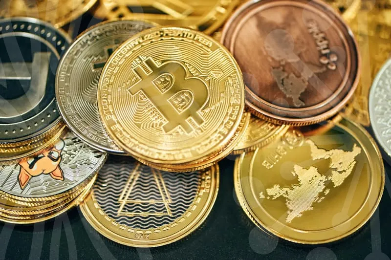 웹툰사이트