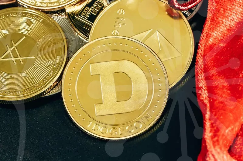 세무사