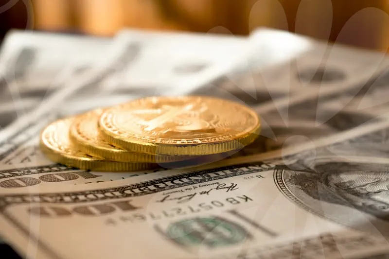 구인구직사이트