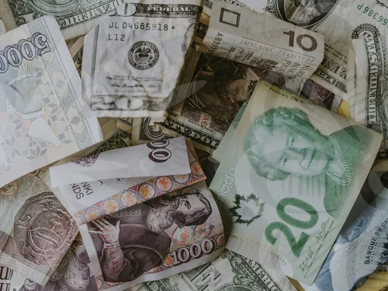 구인구직사이트