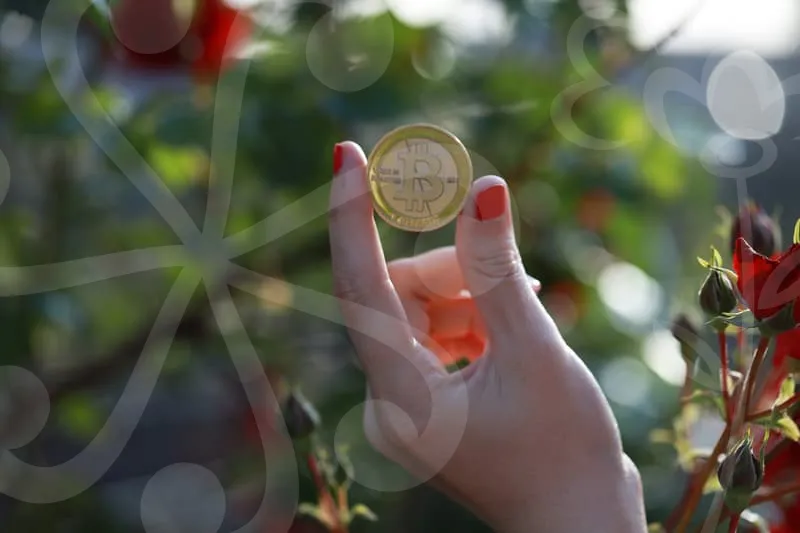 정부지원금신청