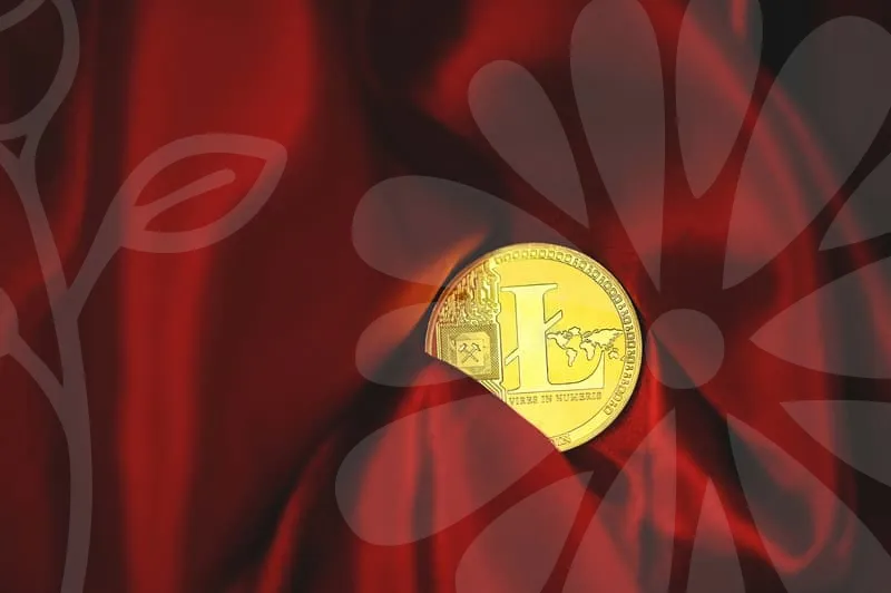 중소기업확인서