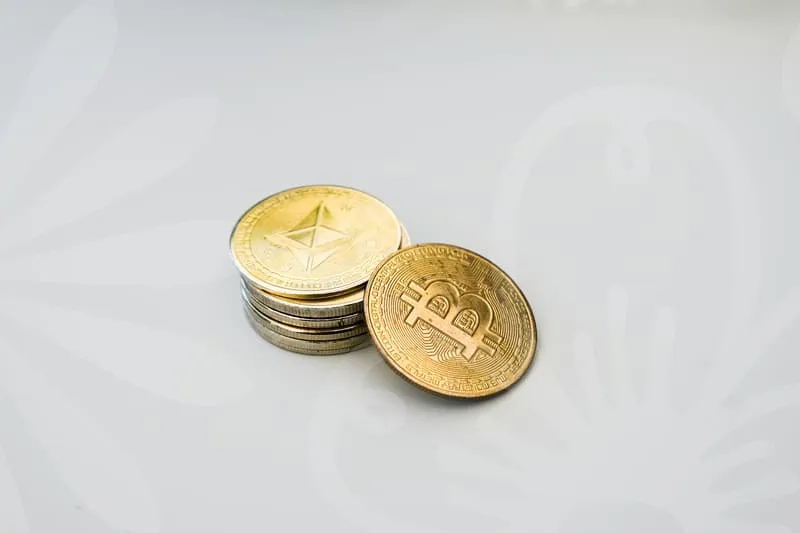 창업지원금대출